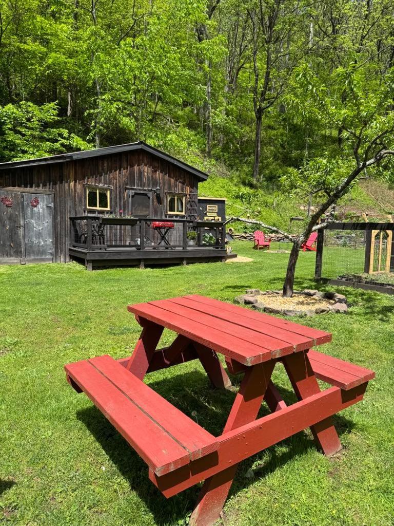 The Renovated Barn At Seneca Rocks Villa Dış mekan fotoğraf